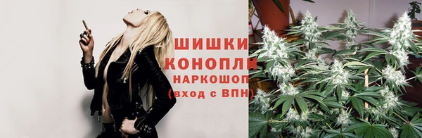 спайс Богородск