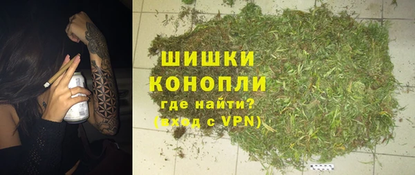 МДПВ Богородицк