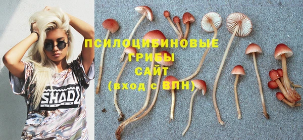спайс Богородск