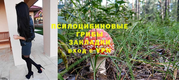 МДПВ Богородицк