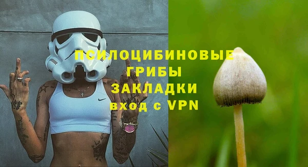спайс Богородск
